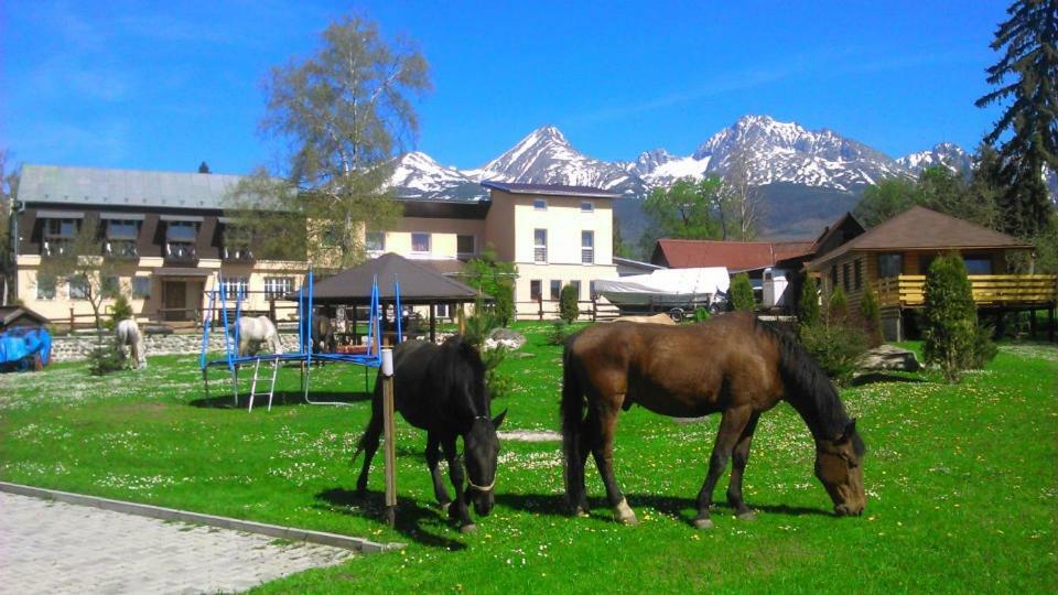 Penzion Monty Ranch Vysoke Tatry Stola Hotel Buitenkant foto