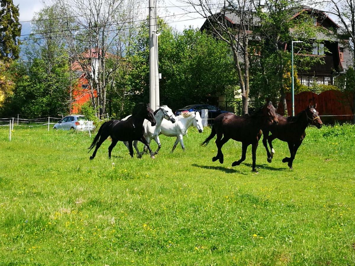 Penzion Monty Ranch Vysoke Tatry Stola Hotel Buitenkant foto